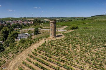 Weinheimer Heiliger Blutberg-163 Kopie