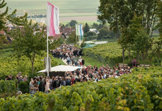 Weinprobe Bodenheim, &copy; Rheinhessenwein e.V., Martin K&auml;mper