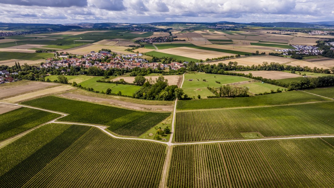 Badenheimer Galgenberg