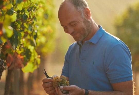 Weingut Dr. Koehler, &copy; Weingut Dr. Koehler