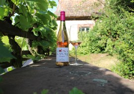 ZWAJ Weine M&ouml;lsheim, &copy; ZWAJ Weine