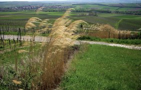 Landschaft Urmmer
