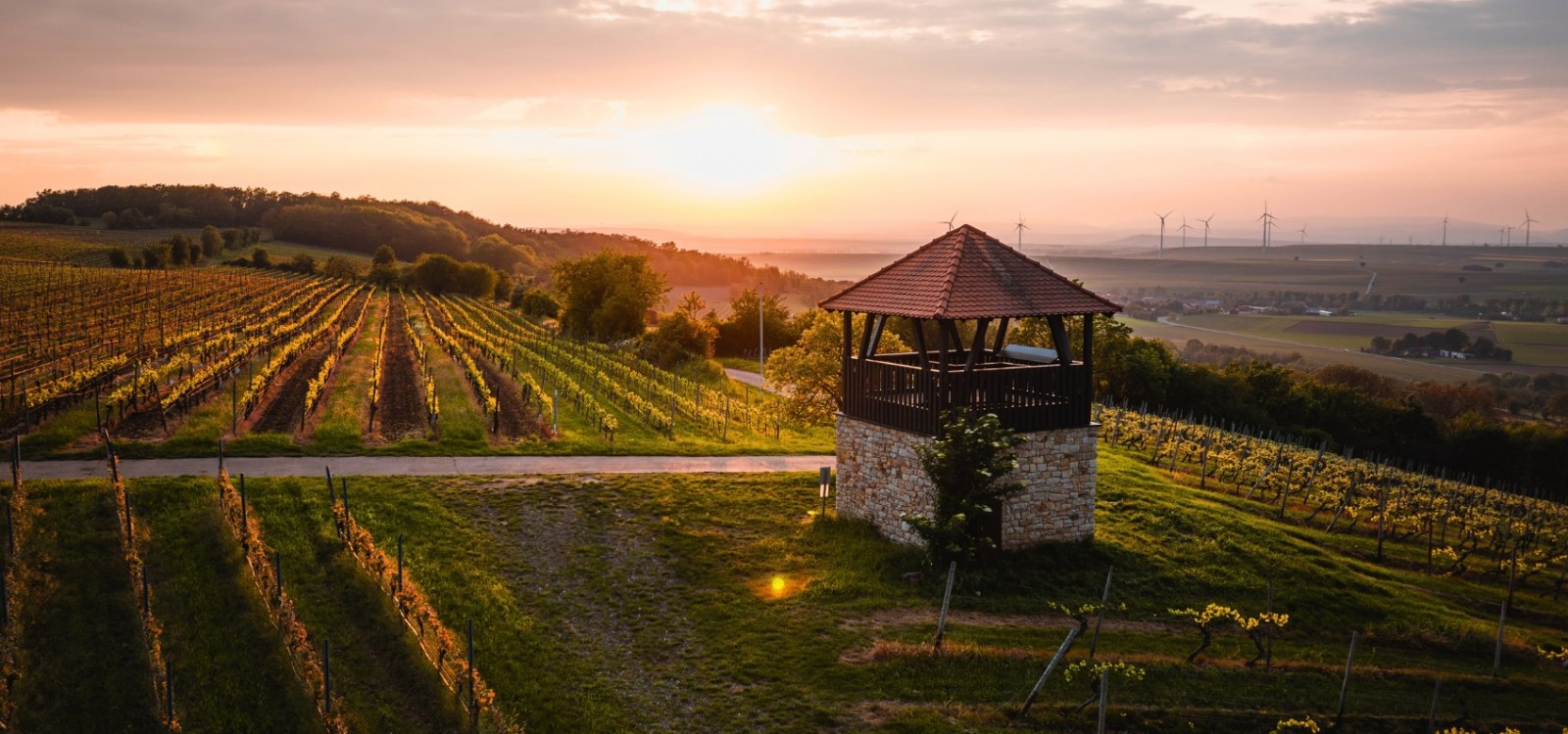 Bornheimer Kuckucksturm