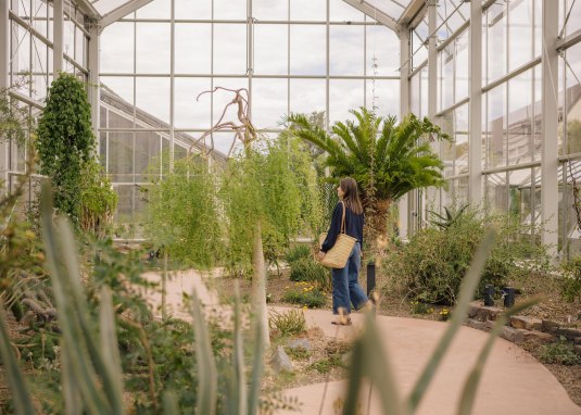 Botanischer Garten &copy; Foto: Ralf Omlor, (Universit&auml;t Mainz, Bot. Garten)