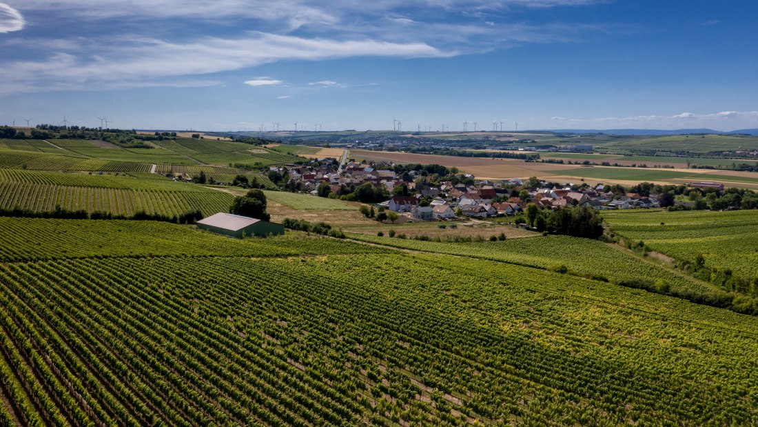 Gau-Heppenheimer Schlossberg