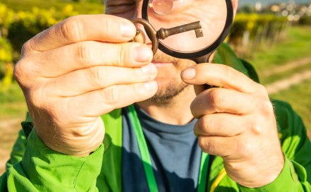 Rheinhessen-2021-639-Ingelheim-Krimiwanderung