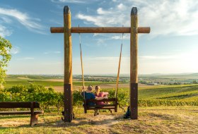 Vineyard swing Welgesheim