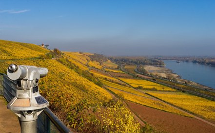 Herbstlicher Blick vom Roten Hang am RheinTerrassenWeg, &copy; Karl-Georg M&uuml;ller