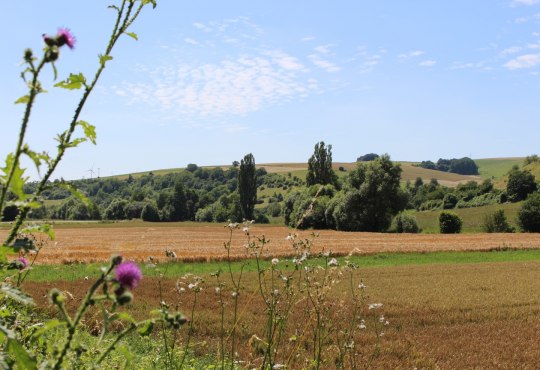 Wide views into the Appelbachtal