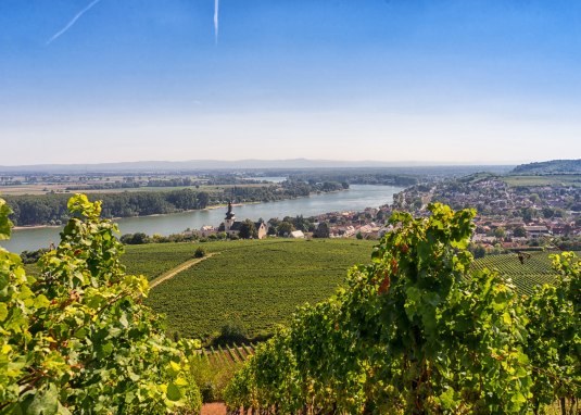 Blick vom RheinTerrassenWeg auf Nierstein © © Georg Müller