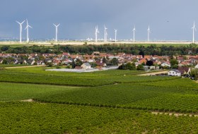 Heppenheimer Affenberg © Torsten Silz