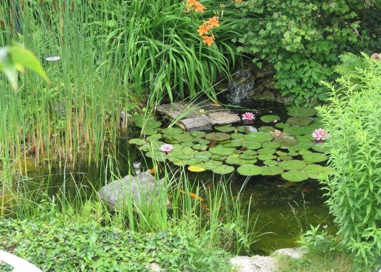 G&auml;stehaus Schenk Garten &copy; G&auml;stehaus Schenk
