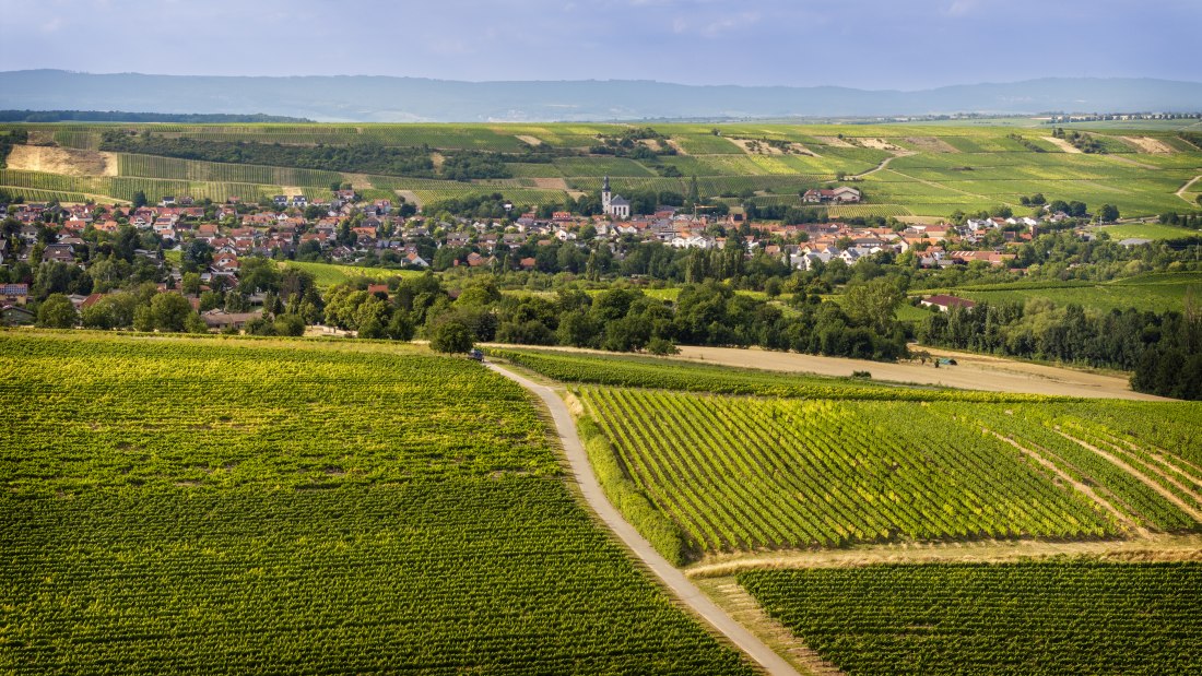 Partenheimer Sankt Georgen-068 Kopie