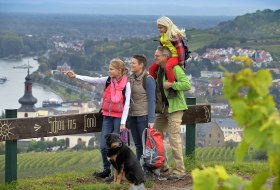 Ausblick bei Nierstein &copy; Torsten Silz