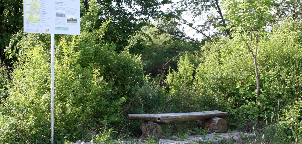 Gr&uuml;nes Klassenzimmer2, &copy; Angelika Friedrich