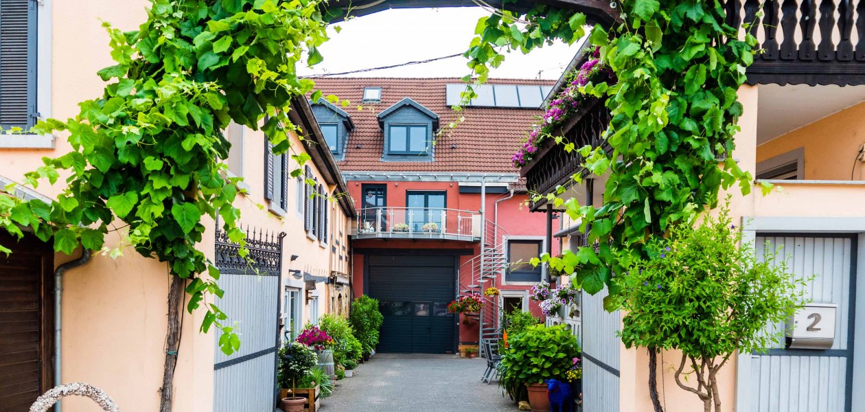 Weingut Hammen_Geb&auml;ude 2, &copy; Weingut Hammen