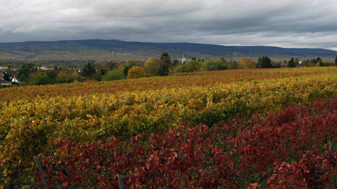 Nieuwe Andreas dorst, &copy; Andreas dorst