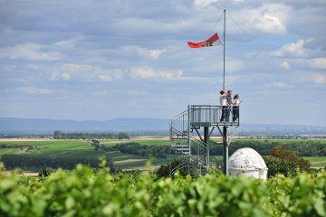 Aussichtturm Flörsheim-Dalsheim