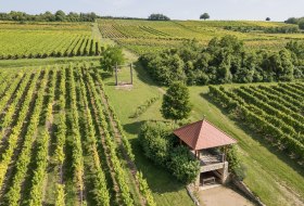 Aussichten von oben © Verbandsgemeinde Gau-Algesheim