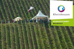 Weinpräsentation_Roter Hang, © Ullrich Knapp