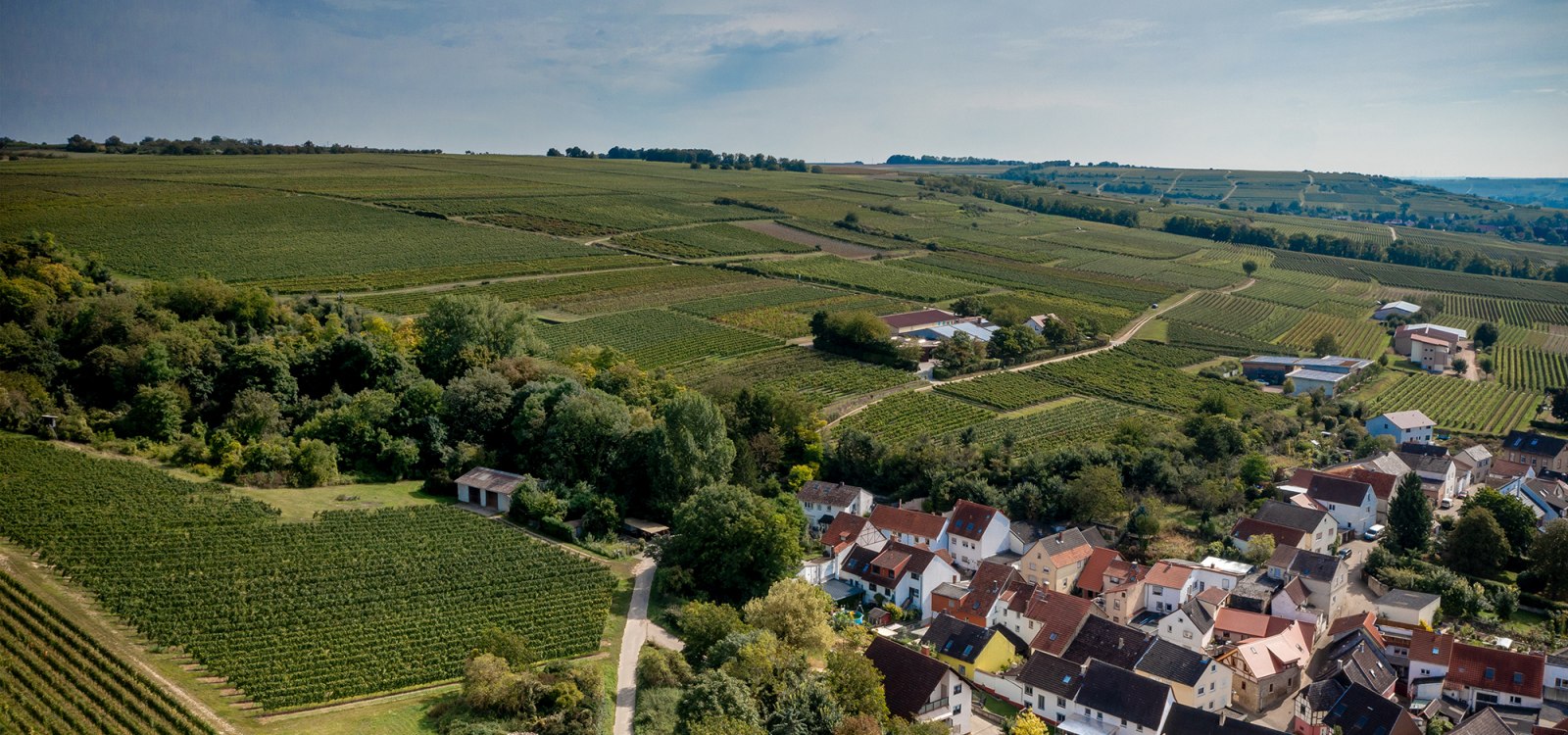 Gro&szlig;-Winternheimer Bockstein
