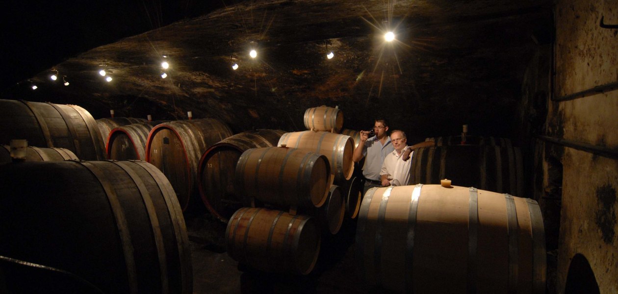 Weingut Eller_Keller 2, &copy; Weingut Eller