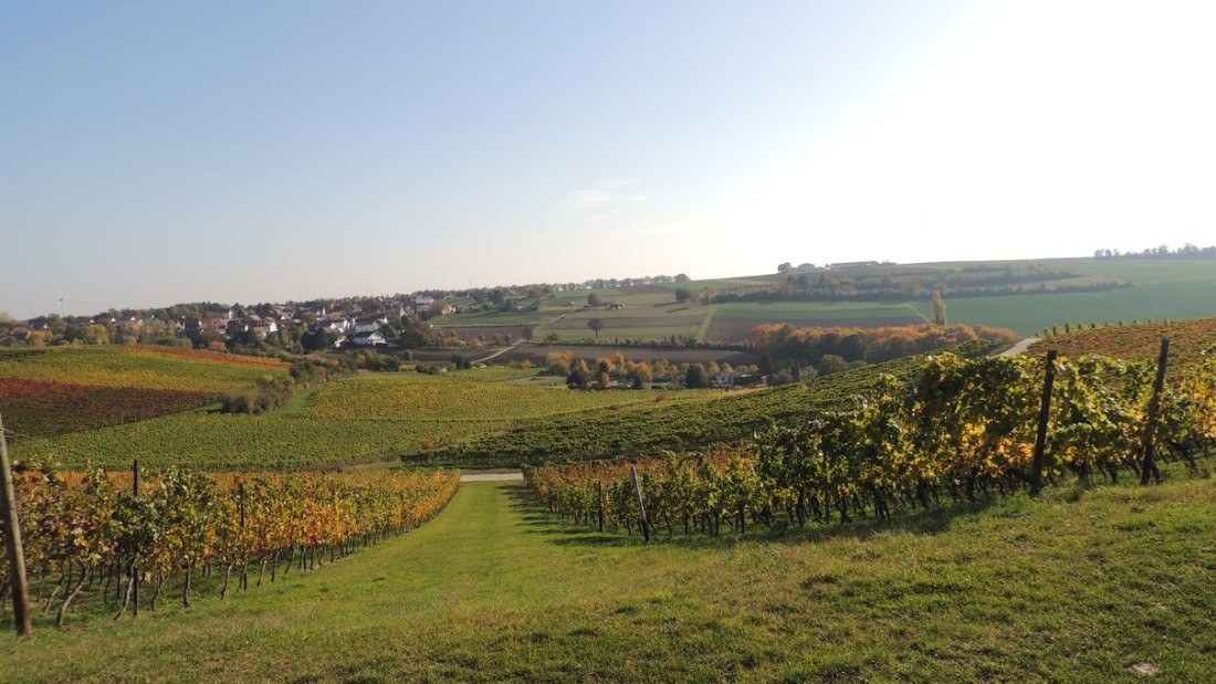 Weingut Seck_Dolgesheim, &copy; Weingut Seck