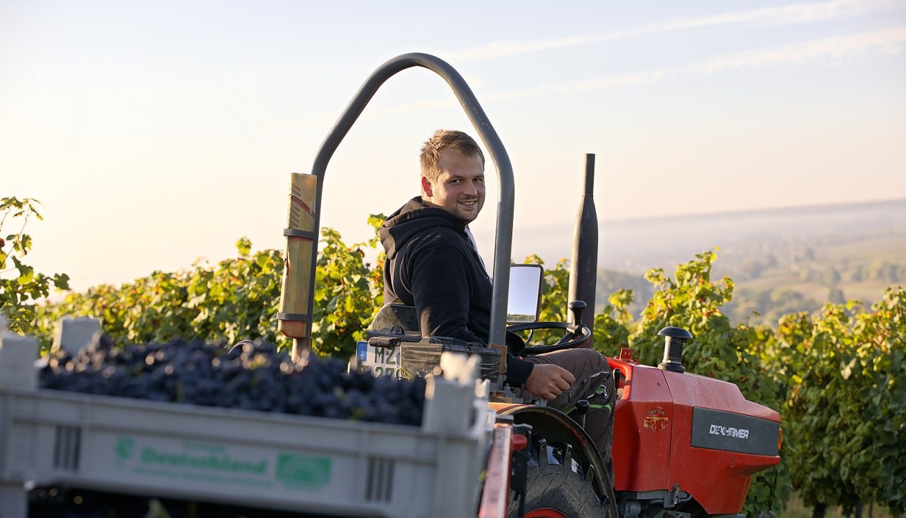 o51a9434_1d, &copy; Weingut Baum-Barth