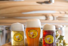 Rheinhessen-Br&auml;u Kern-Sortiment: Hell-Dunkel-Weizen (c) Rheinhessen-Br&auml;u &copy; (c) Rheinhessen-Br&auml;u