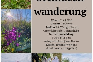 Flyer Orchideenwanderung