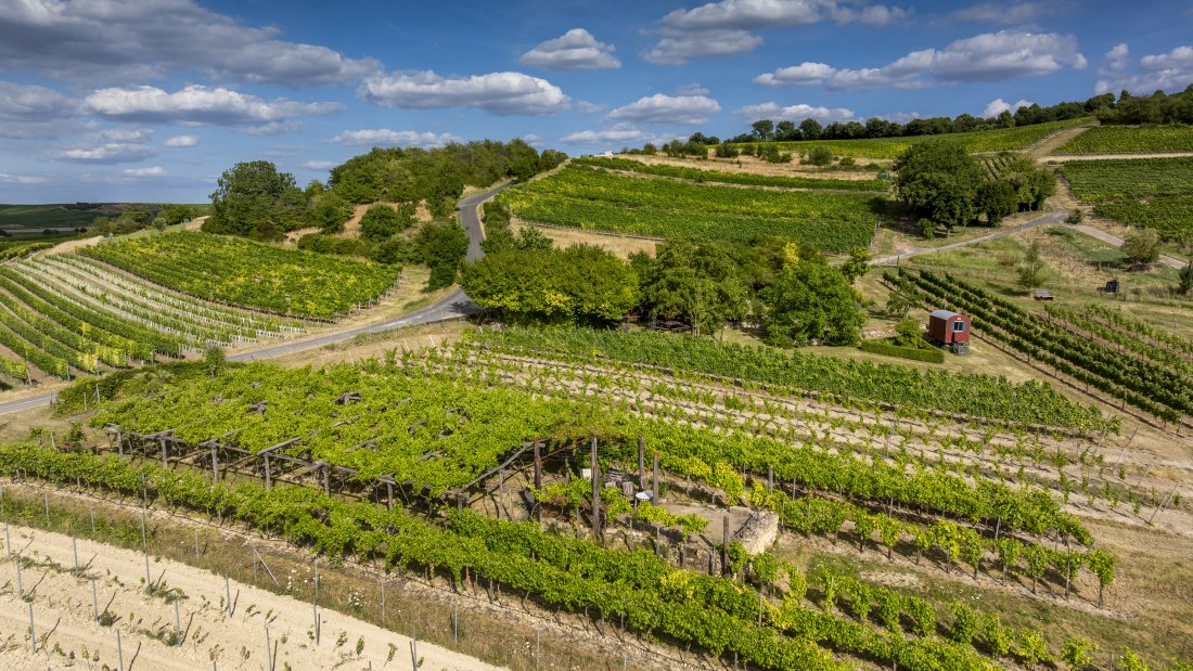 Sankt Johanner Klostergarten-008 Kopie