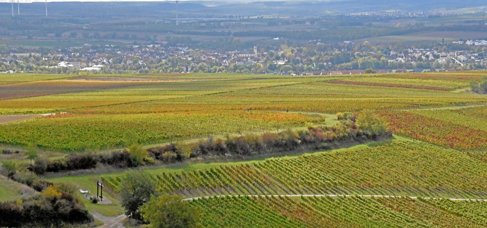 Versteckt in den Weinbergen: Weinbergsschaukeln in der Rheinhessischen Toscana, © Tanja Espenschied