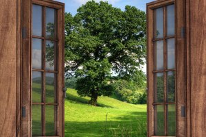 Blick aus dem Fenster