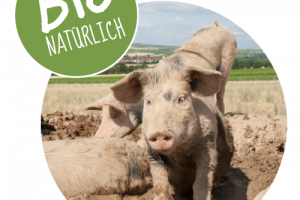Bio-Schweinothek, © M. Bornheimer-Schwalbach