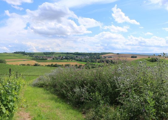 Familienf&uuml;hrung Neuborn1 &copy; Angelika Friedrich