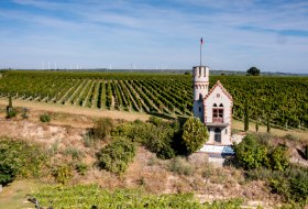 Osthofener Leckzapfen