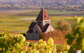 Herbstmarkt auf dem Wi&szlig;berg &copy; Rheinhessenwein e.V., Robert Dieth