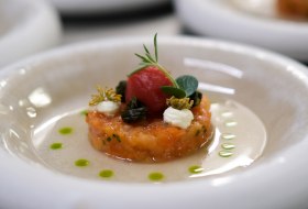 Gourmetgericht mit Lachsforellen-Tatar, Tomatenkugel, Kräutern und feiner Garnitur auf modernem Porzellanteller