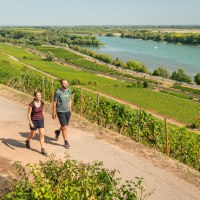 rheinhessen-2020-428 © Dominik Ketz