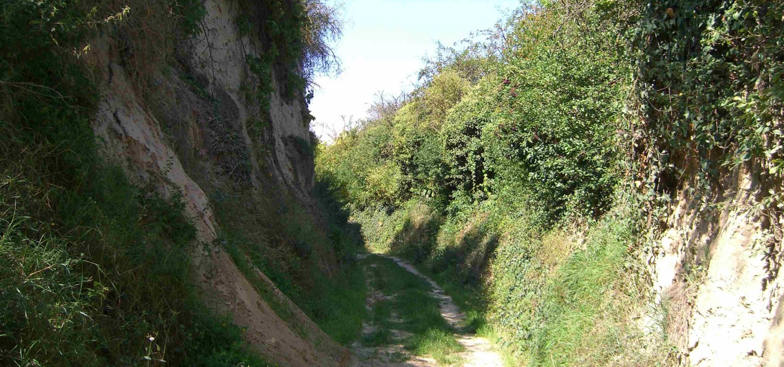 Hohlweg_1
