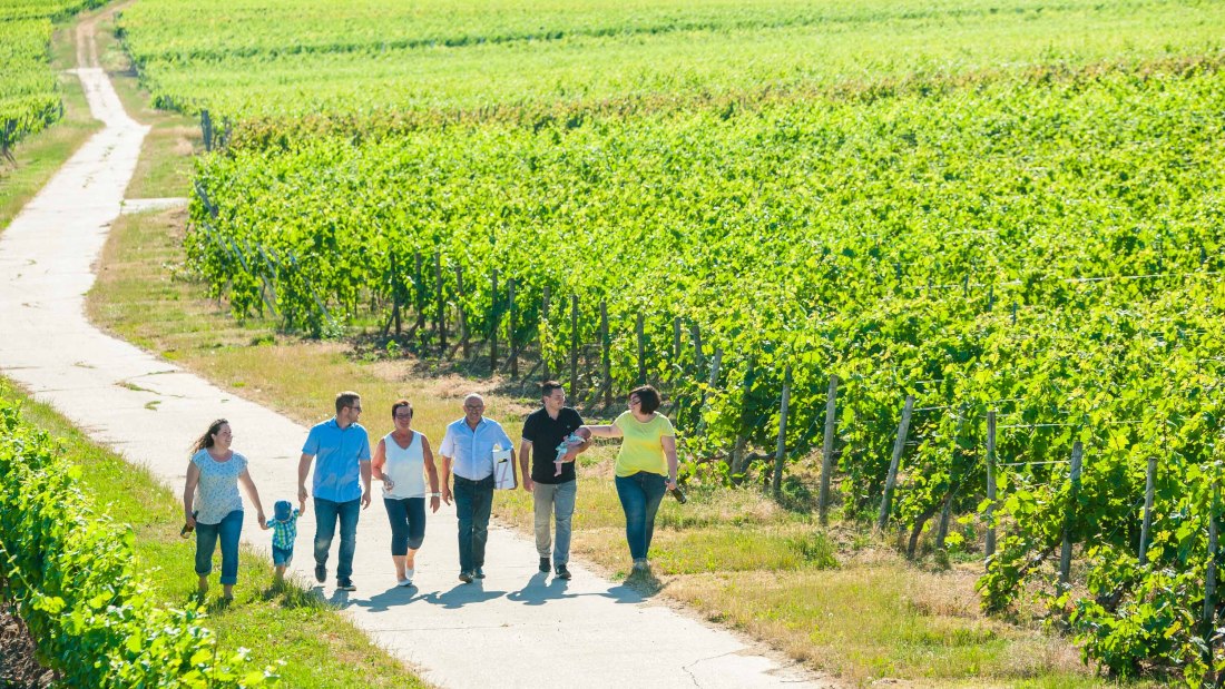 wgt-hammen-1, &copy; Weingut Hammen