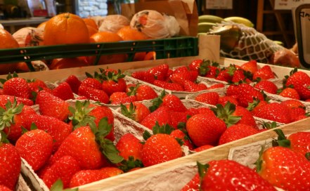 Erdbeeren im Hofladen, &copy; Dominik Ketz