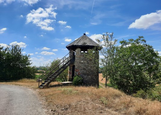 Weinbergsturm Hillesheim Rheinhessen 2 &copy; TSC Rhein-Selz