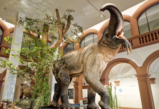 Natural History Museum Mainz, © CC0 4.0 Katja Zentel