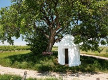 Trullo am Nu&szlig;baum &copy; VG Monsheim-Fotograf Carsten Costard