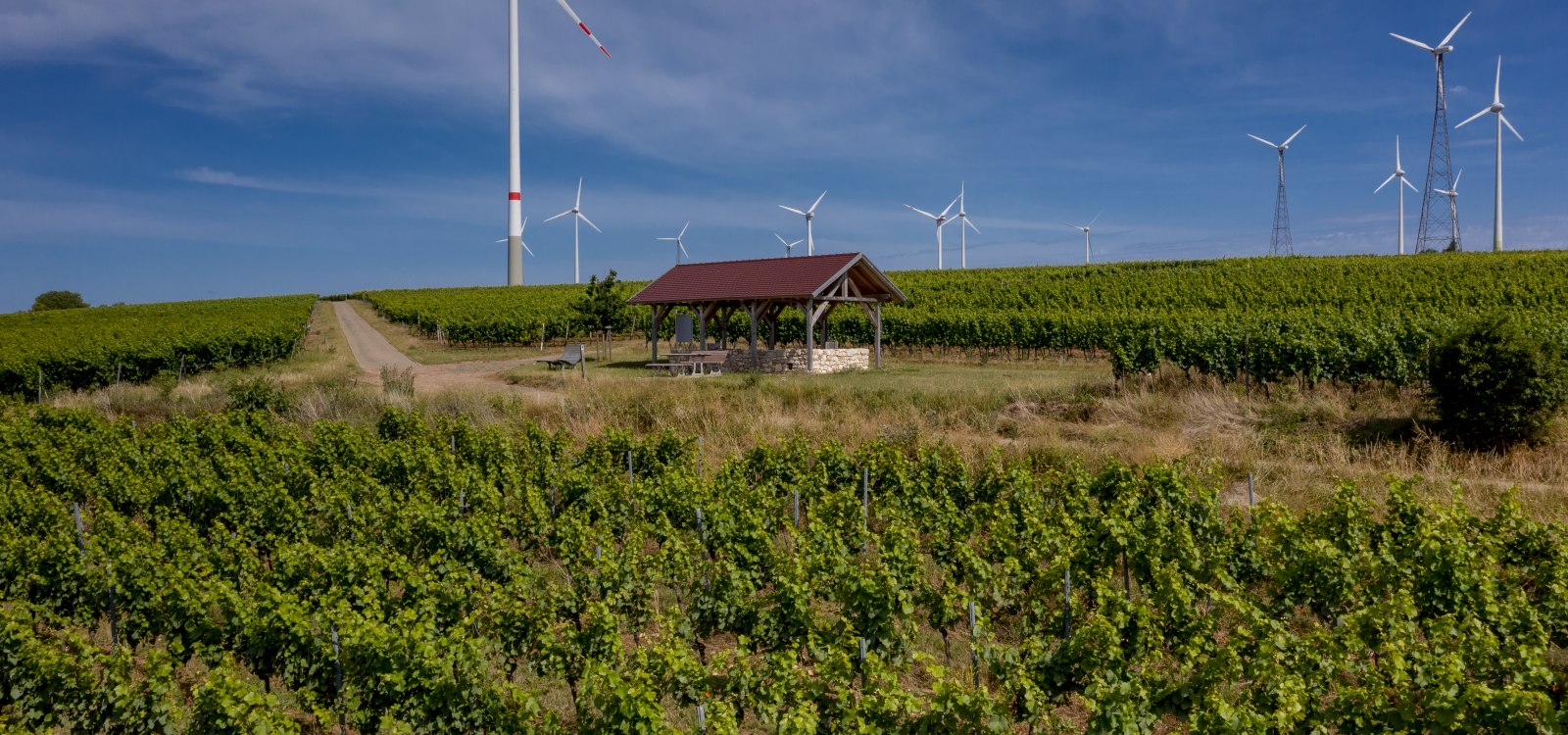 Gau-Heppenheimer Schlossberg