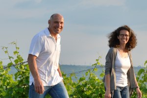 Weingut Dätwyl_Weinberg, © Weingut Dätwyl