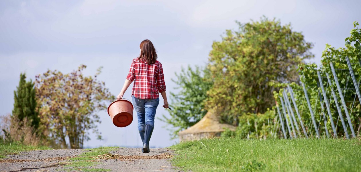 changer 3, &copy; Weingut Wechsler