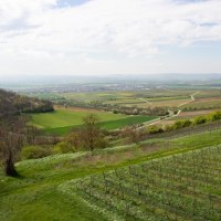 Weitblick vom Napoleonsturm in Sprendlingen