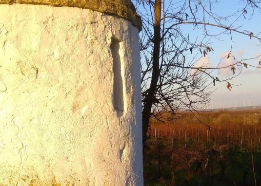Trullo Hinter der Steige Fl&ouml;rsheim-Dalsheim &copy; VG Monsheim Fotograf B.Hess